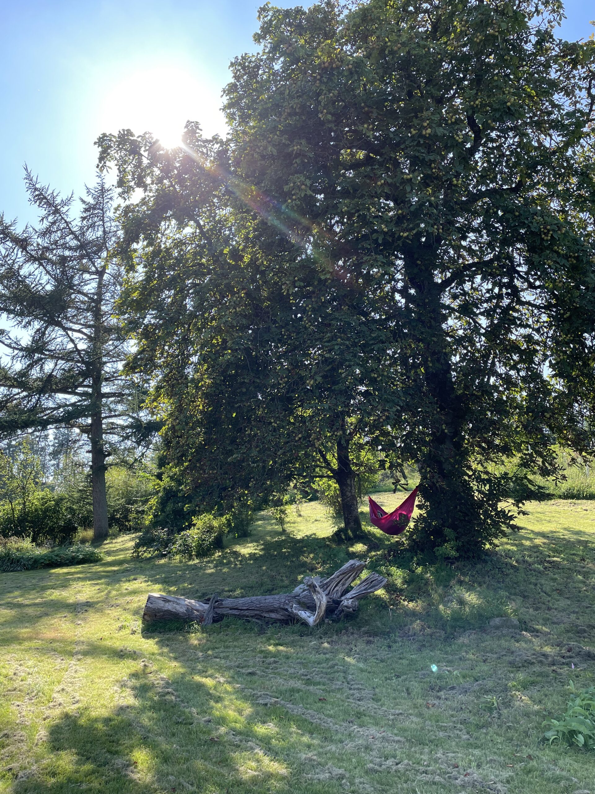 Hængekøje Sol Sommer Have