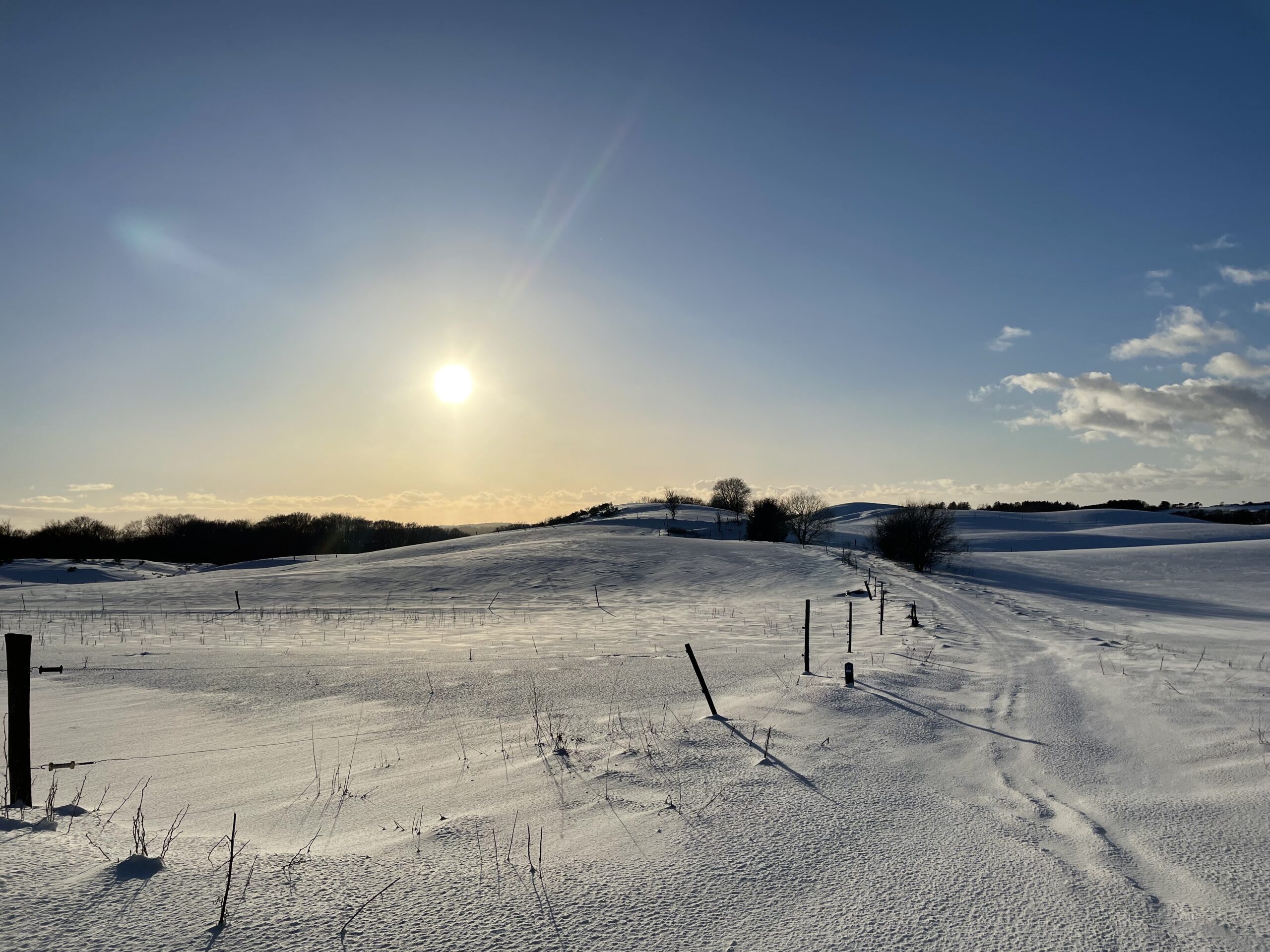 Sne Sol Vinter Slettingen