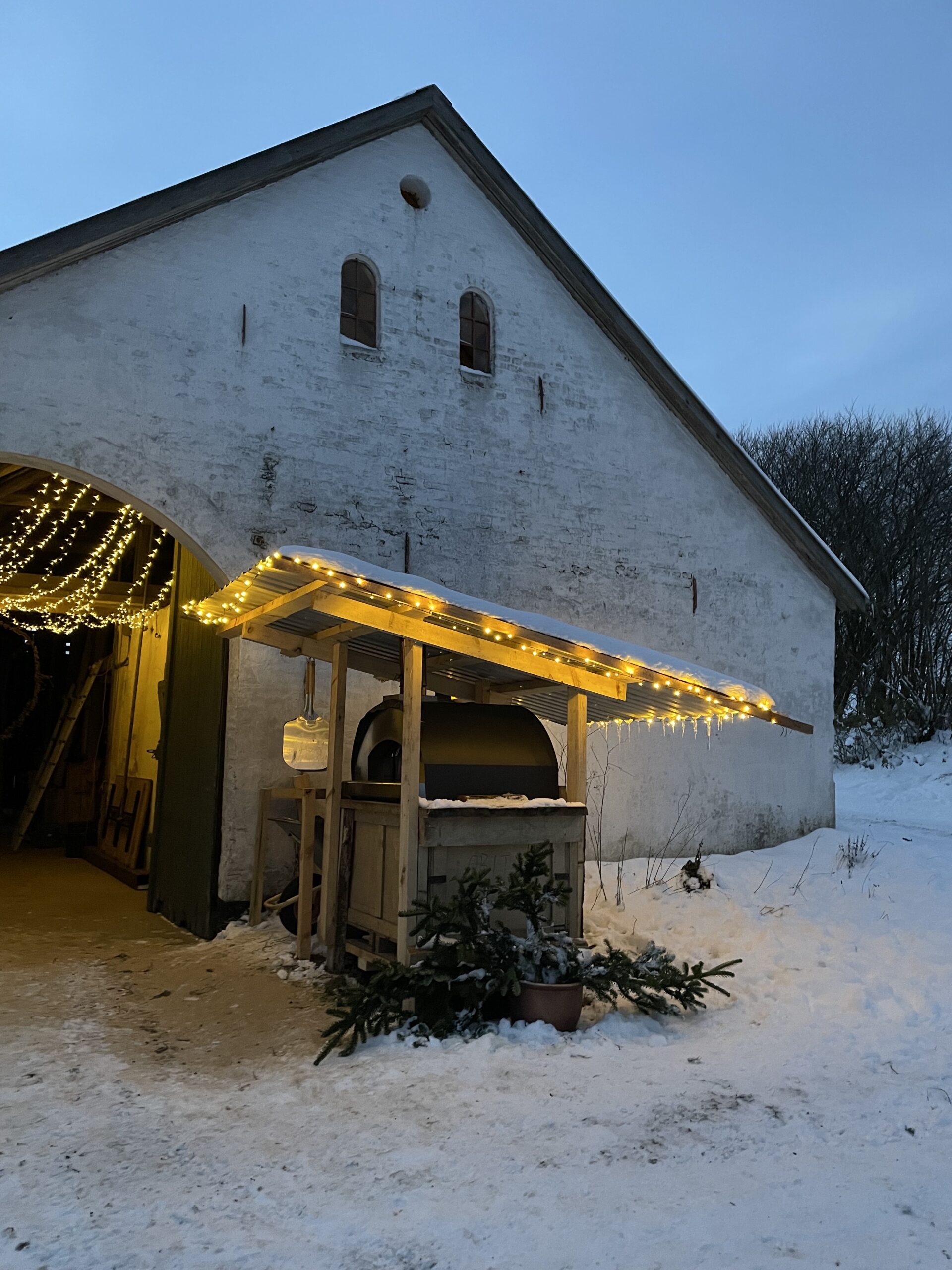 Pizzaovn julelys
